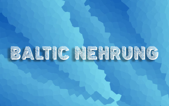 Baltic Nehrung: A Font for Bold, Creative Branding