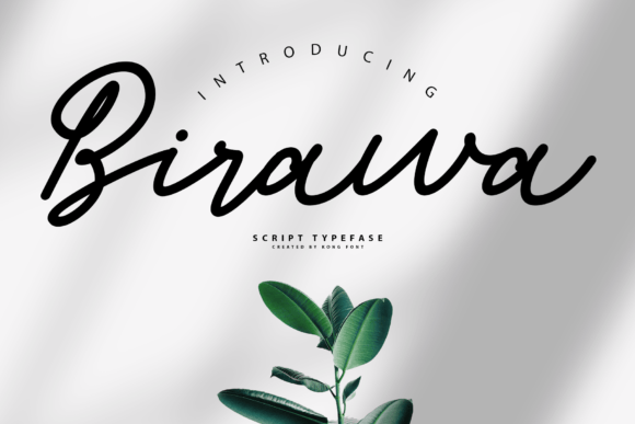 Birawa: A Playful Script Font for Modern Creators