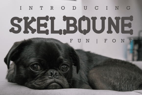 Skelboune: A Playful Serif for Crafters & Designers